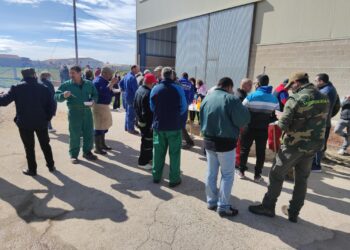 Aldeaseca de la Frontera celebra la VII Matanza Típica
