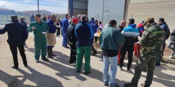Aldeaseca de la Frontera celebra la VII Matanza Típica
