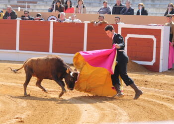 Montalvo, el Gustal de Campocerrado, Rekagorri y Santa María de los Caballeros, ganaderías para el XI certamen taurino «Ciudad de Peñaranda»
