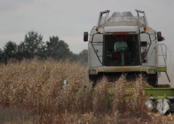 ASAJA muestra su preocupación por las «graves repercusiones» del conflicto bélico Rusia-Ucrania para el sector agrario español