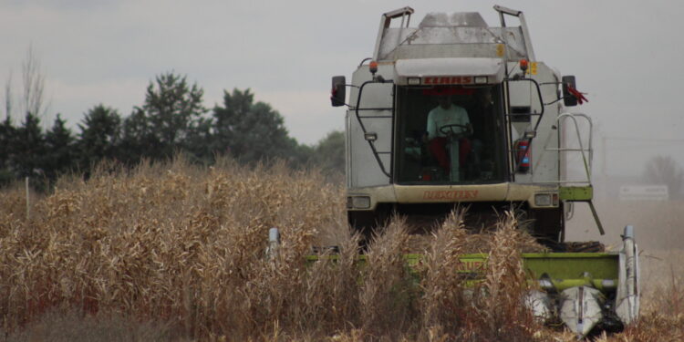 ASAJA muestra su preocupación por las «graves repercusiones» del conflicto bélico Rusia-Ucrania para el sector agrario español