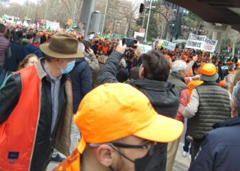 Peñaranda y comarca, presentes en Madrid en la manifestación en defensa del mundo rural