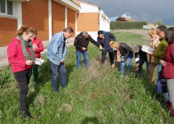 Alumnos del CEPA El Inestal, de Peñaranda, elaboran un censo de las plantas que existen en el centro educativo