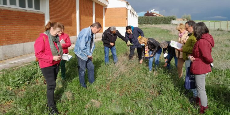 Alumnos del CEPA El Inestal, de Peñaranda, elaboran un censo de las plantas que existen en el centro educativo