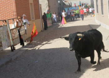 Tarazona de Guareña celebrará sus fiestas de San Pedro Regalado con un gran festejo taurino popular