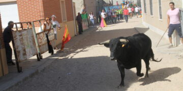 Tarazona de Guareña celebrará sus fiestas de San Pedro Regalado con un gran festejo taurino popular