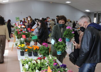 Babilafuente y Villoruela abren la campaña solidaria de Las Villas con rastrillos y puestos de flores