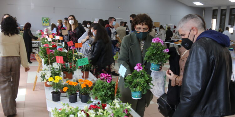 Babilafuente y Villoruela abren la campaña solidaria de Las Villas con rastrillos y puestos de flores