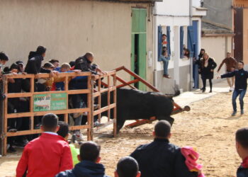 El Toro del Voto deja dos heridos graves en Villoria tras arrancar una talanquera el segundo astado de la tarde