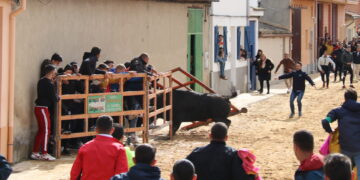 El Toro del Voto deja dos heridos graves en Villoria tras arrancar una talanquera el segundo astado de la tarde