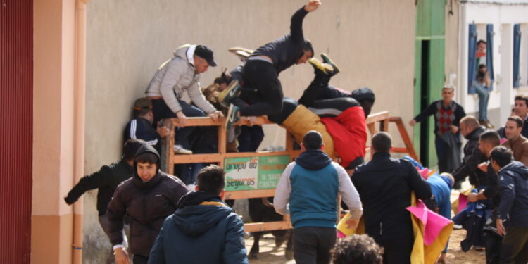 El Toro del Voto deja dos heridos graves en Villoria tras arrancar una talanquera el segundo astado de la tarde