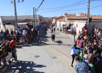 Villoria retoma la celebración del «Toro del Voto» con tres astados para el próximo 23 de abril