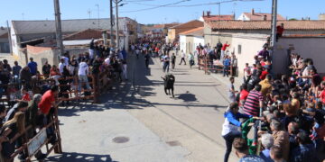 Villoria retoma la celebración del «Toro del Voto» con tres astados para el próximo 23 de abril