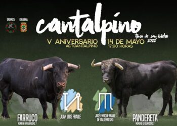 Farruco y Pandereta, protagonistas del V Toro de San Isidro que se celebrará el 14 de mayo en Cantalpino