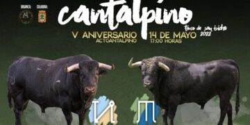 Farruco y Pandereta, protagonistas del V Toro de San Isidro que se celebrará el 14 de mayo en Cantalpino