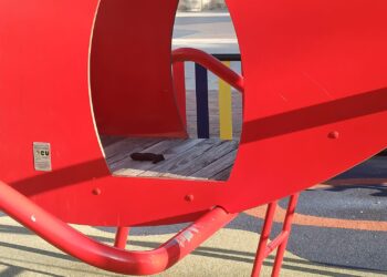 Desagradable sorpresa en el parque La Huerta de Peñaranda al aparecer heces en el columpio de la hormiga