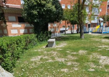 El PP de Peñaranda denuncia el estado «deplorable» del parque municipal de Los Jardines