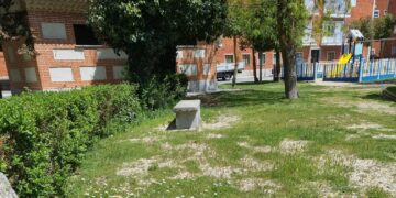 El PP de Peñaranda denuncia el estado «deplorable» del parque municipal de Los Jardines