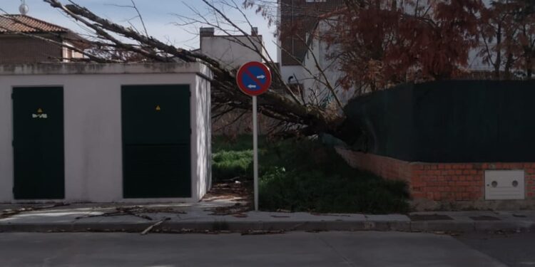 Peñaranda sufre los primeros efectos del intenso viento y ve peligrar la procesión de la noche por la previsión de lluvias