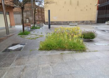 Ciudadanos Peñaranda denuncia el estado «asalvajado» de las zonas verdes de la localidad