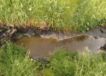 Peñaranda en Común (PEC) denuncia la presencia de residuos tóxicos en los alrededores del polígono industrial “El Inestal”