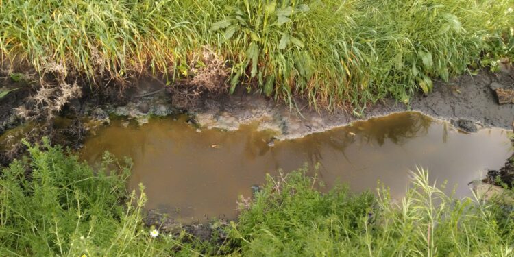 Peñaranda en Común (PEC) denuncia la presencia de residuos tóxicos en los alrededores del polígono industrial “El Inestal”