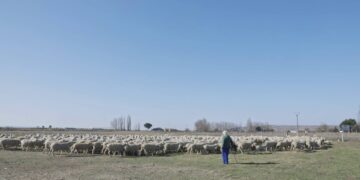 Un cortometraje del Instituto de las Identidades recoge las aportaciones de la cultura tradicional ganadera del pastoreo