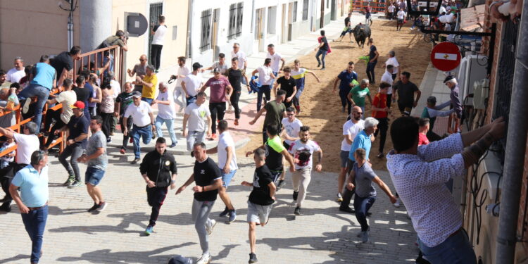 Farruco y Pandereta llenan Cantalpino de aficionados para disfrutar del esperado Toro de San Isidro