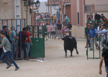 Tarazona de Guareña remata la tarde taurina en la comarca peñarandina con un concurrido festejo popular