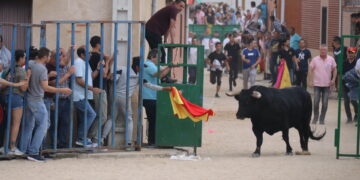 Tarazona de Guareña remata la tarde taurina en la comarca peñarandina con un concurrido festejo popular