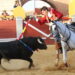 El rejoneador Sergio Pérez, Luque, Marcos y Diosleguarde protagonizarán la corrida de toros de las fiestas de Peñaranda