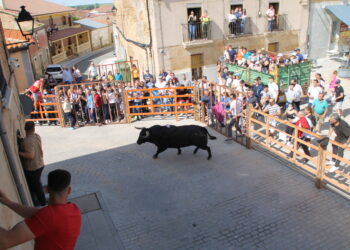 Farruco y Pandereta llenan Cantalpino de aficionados para disfrutar del esperado Toro de San Isidro