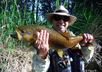 Paco Redondo, presidente del club Mosqueros del Tormes: «Un pez es demasiado valioso para ser pescado solo una vez»