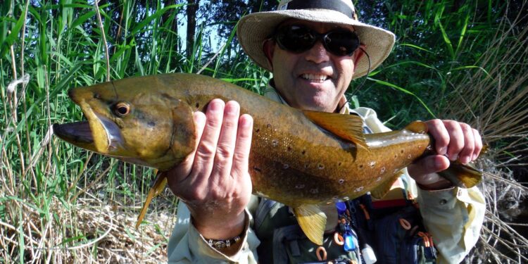 Paco Redondo, presidente del club Mosqueros del Tormes: «Un pez es demasiado valioso para ser pescado solo una vez»