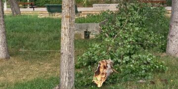 La tormenta del sábado por la noche deja sus efectos en el parque Los Jardines de Peñaranda
