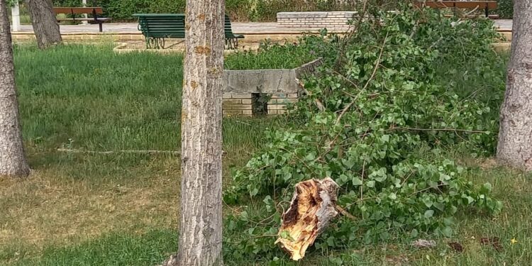La tormenta del sábado por la noche deja sus efectos en el parque Los Jardines de Peñaranda