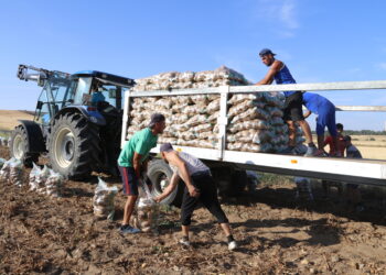 Asaja agradece la reducción de módulos pero lamenta que Hacienda se olvide de producciones como la patata