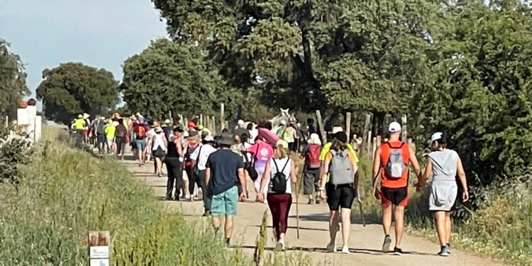 Así comienza la conmemoración del 450 aniversario de la reforma carmelita de San Juan de la Cruz y Santa Teresa de Jesús