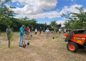 Aldeaseca de la Frontera, El Pedroso de la Armuña y Rágama reforestan sus entornos gracias al programa «Arbolar»