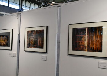 La Diputación de Salamanca convoca el 33 Premio Nacional “Salamanca” de Fotografía Agrícola y Ganadera