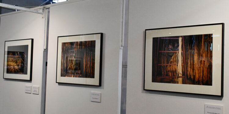 La Diputación de Salamanca convoca el 33 Premio Nacional “Salamanca” de Fotografía Agrícola y Ganadera