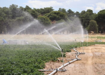 El regadío del Canal de la Armuña fase I llega por fin a los cultivos del término municipal de Villaflores aunque en pruebas