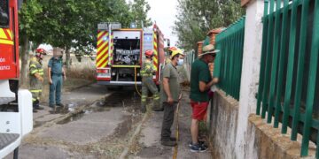 Un incendio, posiblemente intencionado, arrasa una parcela de recreo frente a una zona de talleres y fábricas en Peñaranda