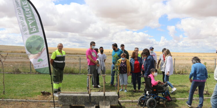 Peñaranda recibe 33 nuevos árboles para distintas zonas del casco urbano gracias al programa provincial «Arbolar»