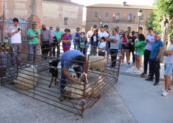 La Jornada de la Trashumancia y el Pastoreo acerca las tradiciones a los vecinos de Rágama