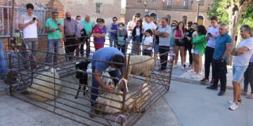 La Jornada de la Trashumancia y el Pastoreo acerca las tradiciones a los vecinos de Rágama
