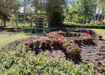 Peñaranda ornamenta sus parques y zonas verdes con más de 5.000 plantas de temporada para dar colorido al verano