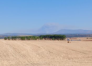 La columna de humo del incendio de San Esteban del Valle (Ávila) visible desde el término municipal de Salmoral