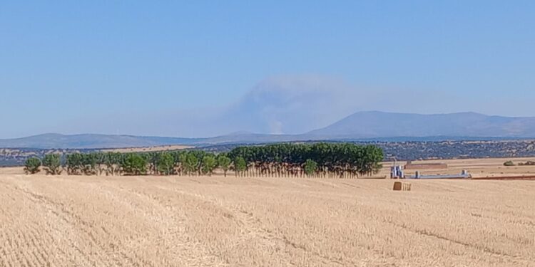 La columna de humo del incendio de San Esteban del Valle (Ávila) visible desde el término municipal de Salmoral