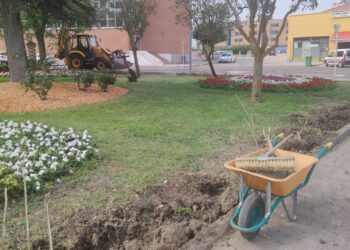 El Ayuntamiento de Peñaranda retira parte del arbusto perimetral del parque de Los Jardines que se encontraba muy deteriorado
